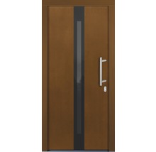 Porte d''entrée avec insert en verre et poignée