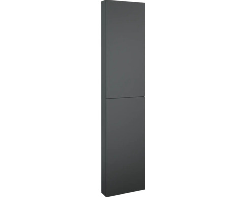 Armoire haute Jungborn lxhxp 40x180x12.6 cm anthracite mat