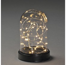 Cloche décorative en verre avec guirlande lumineuse