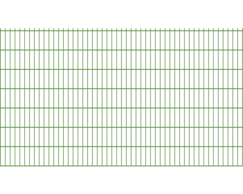 Doppelstabmatte 6/5/6 251 x 143 cm RAL 6005 moosgrün
