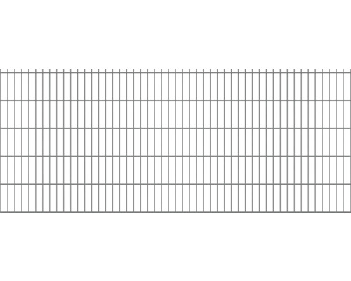 Doppelstabmatte 6/5/6 251 x 103 cm RAL 7016 anthrazit