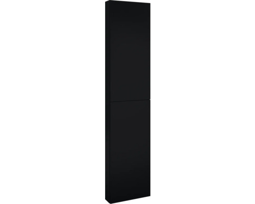 Armoire haute Jungborn lxhxp 40x180x12.6 cm noir mat