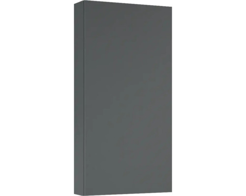 Jungborn Hängeschrank BxHxT 40x80x12.6 cm anthrazit matt