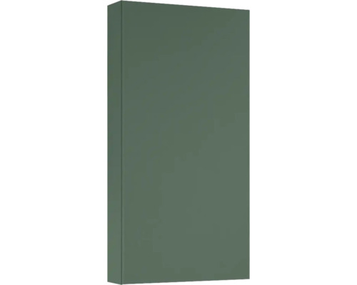 Armoire suspendue Jungborn lxhxp 40x80x12.6 cm forest vert mat