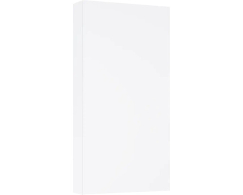 Armoire suspendue Jungborn lxhxp 40x80x12.6 cm blanc haute brillance