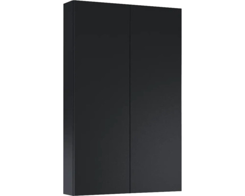 Armoire suspendue Jungborn lxhxp 50x80x12.6 cm noir mat