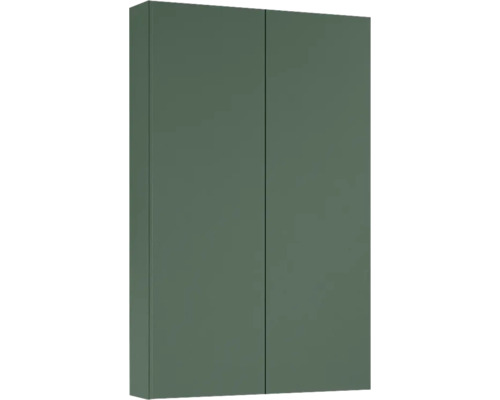 Jungborn Hängeschrank BxHxT 50x80x12.6 cm forest grün matt