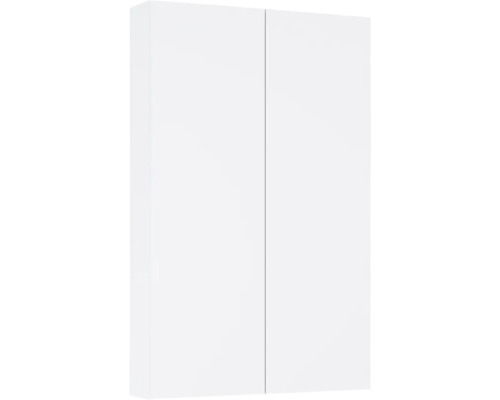 Armoire suspendue Jungborn lxhxp 50x80x12.6 cm blanc haute brillance