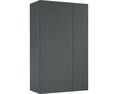 Armoire suspendue Jungborn lxhxp 59.6x100x31.6 cm anthracite mat