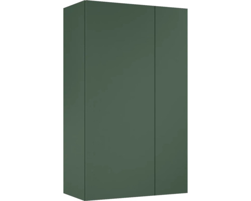 Armoire suspendue Jungborn lxhxp 59.6x100x31.6 cm forest vert mat