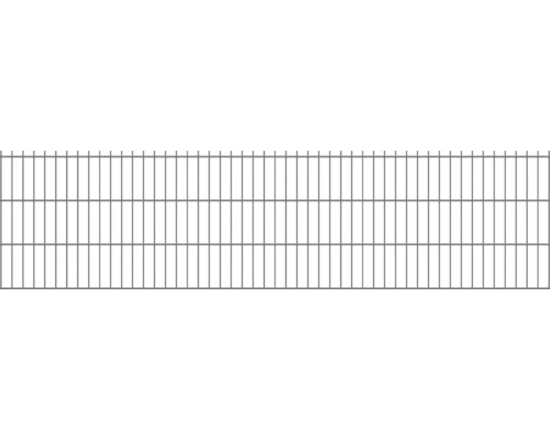 Doppelstabmatte 6/5/6 251 x 63 cm RAL 7016 anthrazit Doppelstabmatte 6/5/6 251 x 63 cm RAL 7016 anthrazit