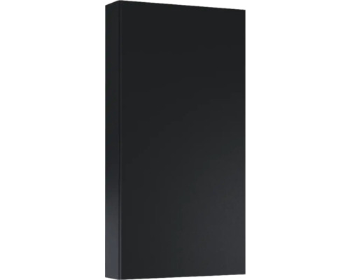 Jungborn Hängeschrank BxHxT 40x80x12.6 cm schwarz matt