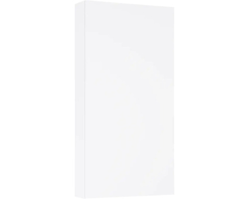 Jungborn Hängeschrank BxHxT 40x80x12.6 cm weiss matt