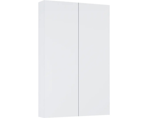 Armoire suspendue Jungborn lxhxp 50x80x12.6 cm stone mat