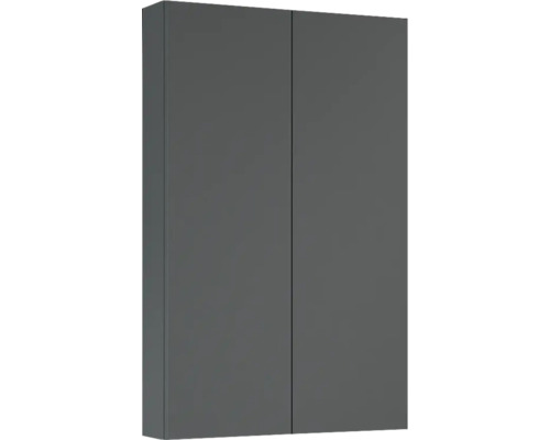 Jungborn Hängeschrank BxHxT 50x80x12.6 cm anthrazit matt