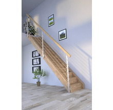 Escalier en bois avec rampe en acier inoxydable dans un espace de vie moderne
