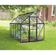 Serre en verre avec des plantes dans le jardin