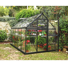 Serre en verre et métal dans le jardin avec porte ouverte