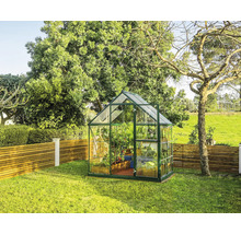 Serre dans le jardin avec culture de plantes