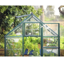 Serre avec porte ouverte et plantes