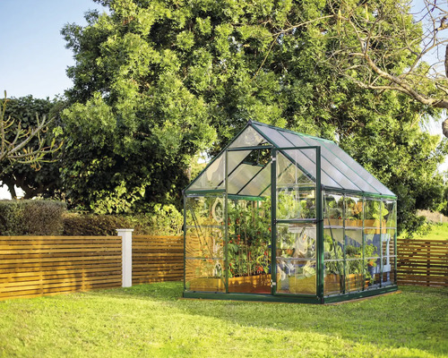 Serre de jardin avec des plantes