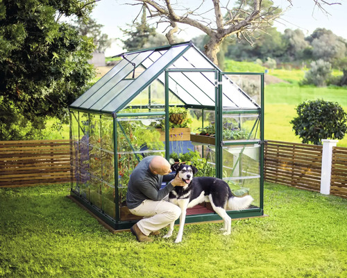 Serre de jardin avec homme et chien.