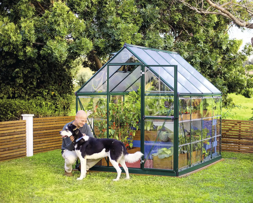 Serre avec plantes, homme et chien dans le jardin