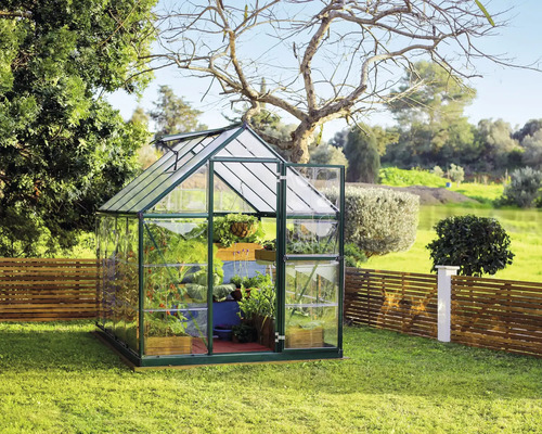 Serre avec des plantes dans le jardin