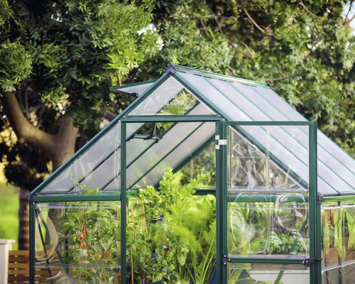 Serre avec des plantes dans le jardin