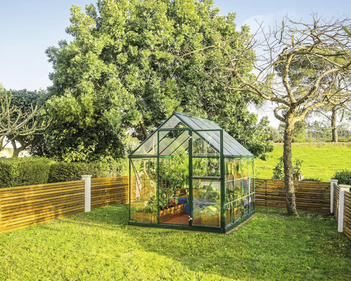 Serre de jardin avec plantes dans le jardin