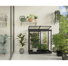 Serre Ivy plaques en polycarbonate 0,7 mm 124 x 64 cm noir
