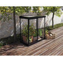 Serre Ivy plaques en polycarbonate 0,7 mm 124 x 64 cm noir