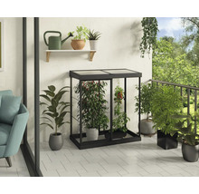 Serre Ivy plaques en polycarbonate 0,7 mm 124 x 64 cm noir
