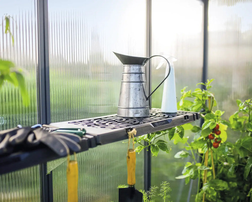 Gewächshaus Innenansicht mit Regal, Gießkanne, Sprühflasche und Gartengeräten.