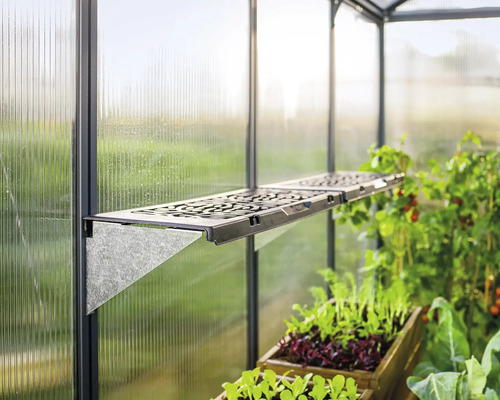 Regal im Gewächshaus mit Pflanzen