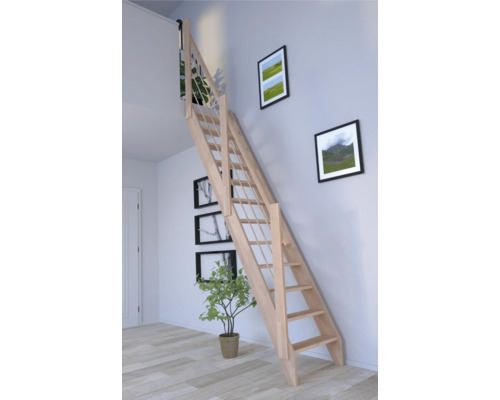 Scène d''intérieur avec un escalier en bois menant à l''étage supérieur, agrémentée de tableaux muraux et d''une plante d''intérieur.