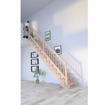 Escalier en bois avec rampe dans une pièce à vivre
