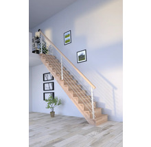 Escalier en bois avec rampe en acier inoxydable dans une pièce lumineuse