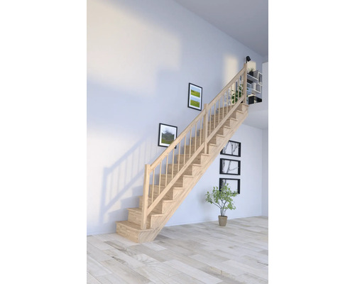 Escalier en bois dans une pièce lumineuse avec décoration murale et plante d''intérieur