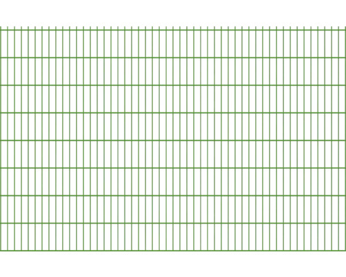 Panneau rigide double fil 8/6/8 251 x 163 cm RAL 6005 vert mousse