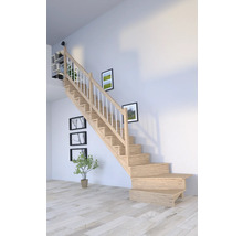 Escalier en bois dans un intérieur avec rampe et décoration murale