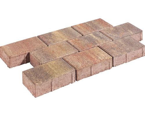 Pflasterstein Rechteckpflaster Weinlaub 20 x 10 x 6 cm Verbundsteine aus Beton