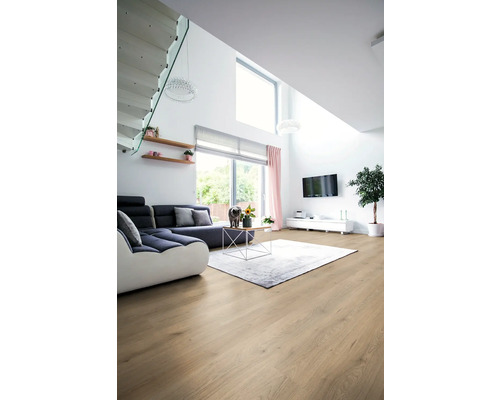 Salon lumineux avec canapé, tapis et parquet