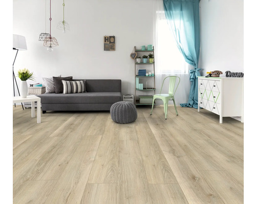 Salon lumineux avec sol stratifié, canapé et décoration