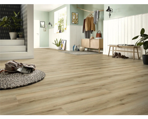 Pièce lumineuse avec plancher en bois, vestiaire, banc et tapis