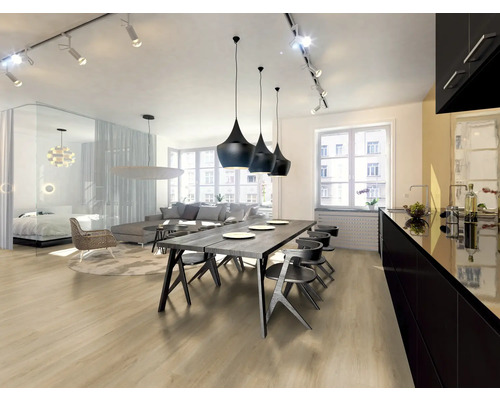 Espace de vie lumineux avec coin repas, cuisine, salon et chambre.