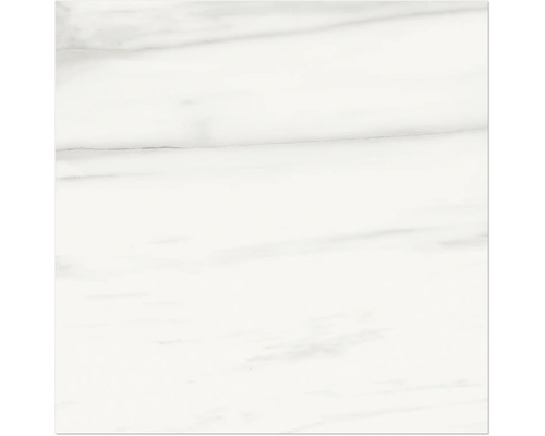 Carrelage sol et mur en grès cérame fin MIRAVA LUCCA Bianco gris-noir mat lxLxé 60x60x0,9 cm Carrelage sol et mur en grès cérame fin MIRAVA LUCCA Bianco gris-noir mat lxLxé 60x60x0,9 cm