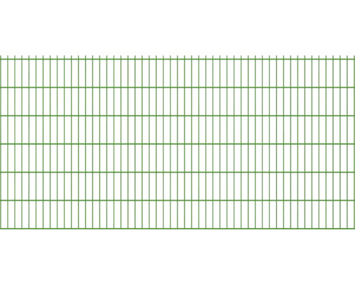 Panneau rigide double fil 8/6/8 251 x 123 cm RAL 6005 vert mousse