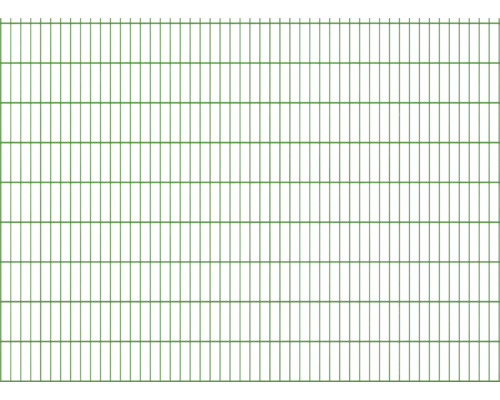 Grillage double 8/6/8 251 x 183 cm RAL 6005 vert mousse