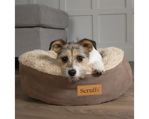 Chien allongé dans un lit rond pour chien de la marque Scruffs.